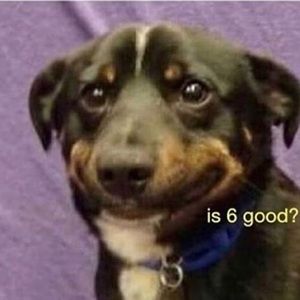 Meet your Posher, Evelyn